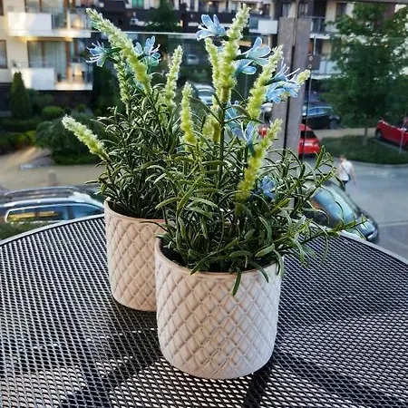 Lejlighed Dobruk Apartament Na Osiedlu Bajkowym