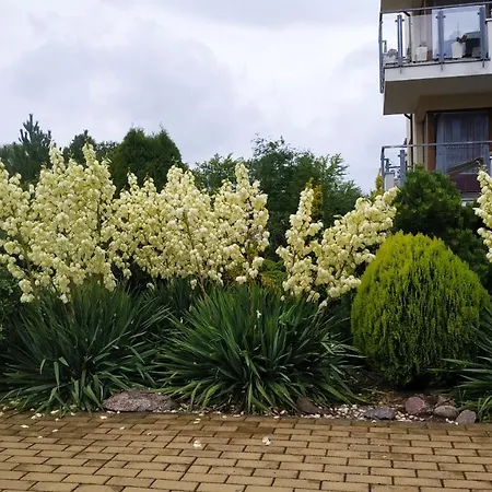 Dobruk Apartament Na Osiedlu Bajkowym 公寓 科沃布热格